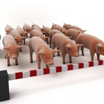 healthcare swine flu