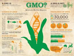 genetically modified crops2