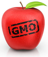 A ref apple with a green leaf with the stamp "GMO" Genetically Modified Crops