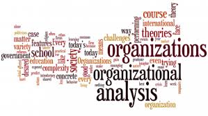 Three-pronged approach to organizational analysis