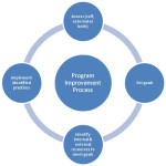 Quality Improvement Program
