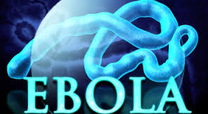 ED throughput measures could have prevented US Ebola case