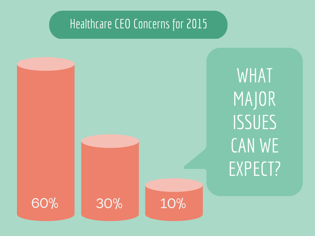 Healthcare CEO Concerns
