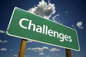 Hospital Challenges 2015