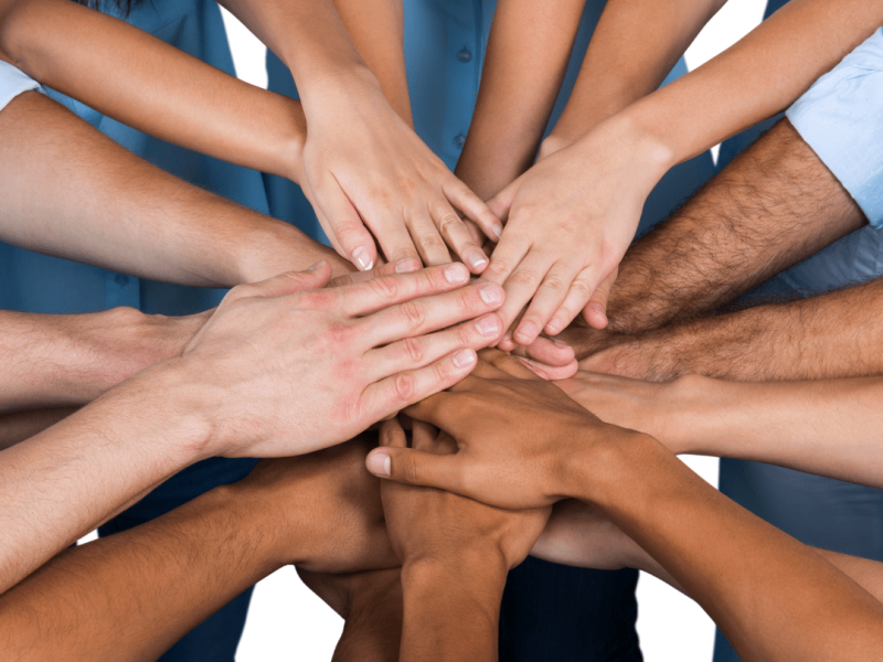 Universal Human Rights Month