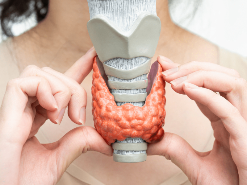 Thyroid Awareness Month